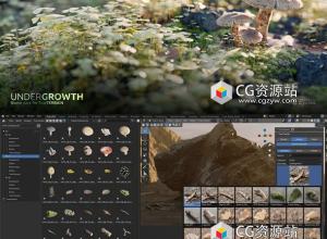 36组灌木丛扫描2K4K8K石头树墩枝干叶子蘑菇Blender资产预设 Undergrowth  Asset Library