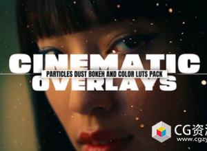 15组粒子灰尘漂浮氛围叠加4K视频素材 Cinamatic Particles Dust Bokeh