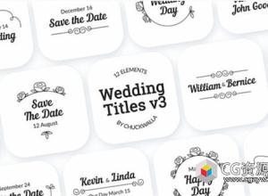 AE模板-复古婚礼包装文字标题动画 Wedding Titles v3