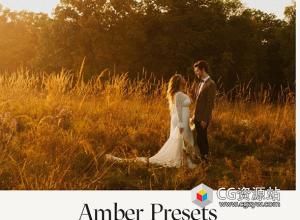 LR预设-10种复古温暖琥珀色自然风光人像摄影婚礼照片后期调色Lightroom预设 Amber Presets – Nathan Chanski 2.0
