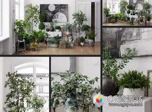 室内盆栽植物3D模型 Archmodels vol. 280 3DS MAX格式
