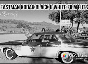 122个伊士曼柯达通用黑白胶片模拟3D LUT调色预设 Eastman Kodak Black and White Films LUTs