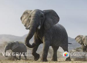 Blender非洲大象绑定3D模型 African Elephant Animated – VFX Grace