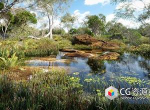 湿地植物植被池塘水边植物3D模型 Globe Plants – Bundle 46