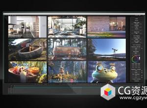 专业图像序列播放浏览器 Chaos Player 2.10.03 Win破解版