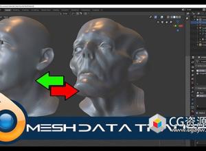 Blender模型网格数据转移传送插件 Mesh Data Transfer V2.0.9