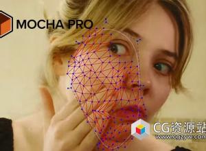 摄像机反求跟踪软件 Mocha Pro 2025.5 v12.5.2+AE/PR/Adobe/OFX插件 Win