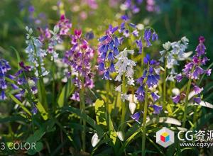 35种低多边形植物花3D模型(Blend/FBX/OBJ格式)Bluebell Pack vol05 Low-poly 3D model