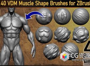 40个ZBrush肌肉形状笔刷 40 VDM Muscle Shape Brushes for ZBrush Vol 01