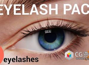 Blender10种逼真人物角色睫毛预设 Eyelash Pack