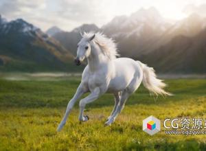 Blender白马绑定动画3D模型资产 White Horse Animation