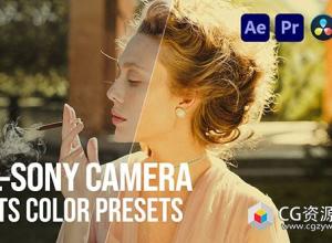 50个索尼系列相机S-LOG和Rec.709LUTs调色预设 CL-Sony LUT Color Pack
