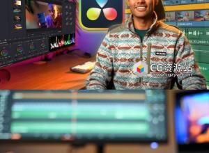 DR达芬奇19基础入门全面视频大师班教程+中英文字幕 DaVinci Resolve 19 Mastercalss