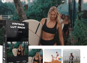 20个模拟复古外观LUTs调色预设 Vintage LUT Pack