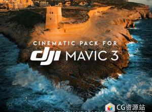 大疆DJI Mavic 3系列电影级无人机航拍LUT调色包预设 DJI MAVIC 3 SERIES CINEMATIC LUT PACK
