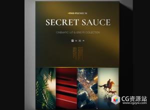 电影短片胶片模拟LUT/POWERGRADE调色预设 The Secret Sauce +中英文字幕教程