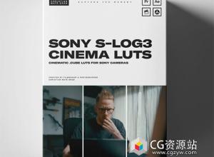 索尼S-Log3电影感氛围旅拍LUTs调色预设 Sony S-Log3 LUTs (+Display LUT)