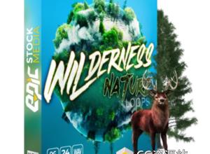 200首荒野自然环境游戏氛围循环无损音效 Wilderness Nature Loops