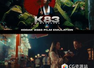 柯达经典好莱坞电影级Kodak 2383美学胶片模拟调色预设 达芬奇PowerGrade + LUT