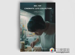 8组创意电影外观LUT调色预设– Rec 709  Cinematic LUTs Collection