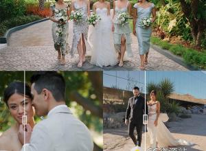 豪华婚礼LUTs视频调色预设三套 Gamut – The Luxury Wedding Bundle