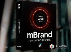 达芬奇插件-14组创意简约时尚文字标题转场动画 mBrand