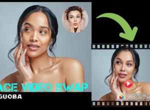 AI视频换脸软件 AI Video FaceSwap 2 v2.0.0 Win