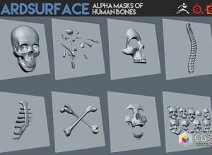 174个人类骨骼贴图素材alpha 通道 174 Hardsurface alpha masks of human bones