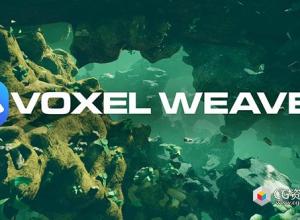 Unreal GPU加速高级体素植被插件 Voxel Weaver | Advanced Voxel Plugin v1.0 UE5.5
