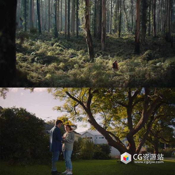 达芬奇真实镜头畸变柔光色差晕影模糊色彩偏移特效模拟插件 LensNode V1.0.2 Mac+ 中文字幕教程-图片1