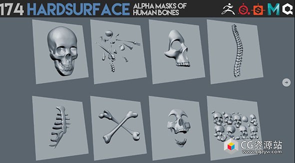 174个人类骨骼贴图素材alpha 通道 174 Hardsurface alpha masks of human bones-图片1