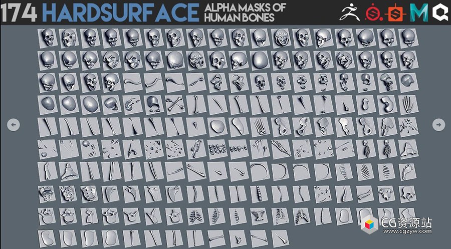 174个人类骨骼贴图素材alpha 通道 174 Hardsurface alpha masks of human bones-图片2